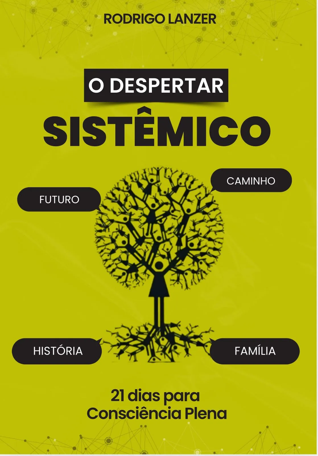 O Despertar Sistêmico